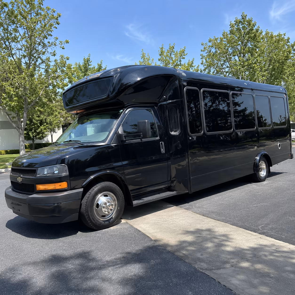 albany 15 passenger party bus
